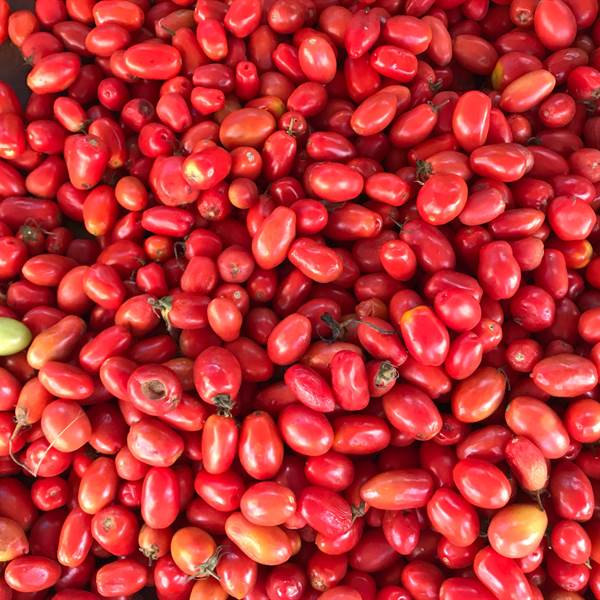 Guatemala & Messico | Pomodori - mercato di Chichicastenango | 