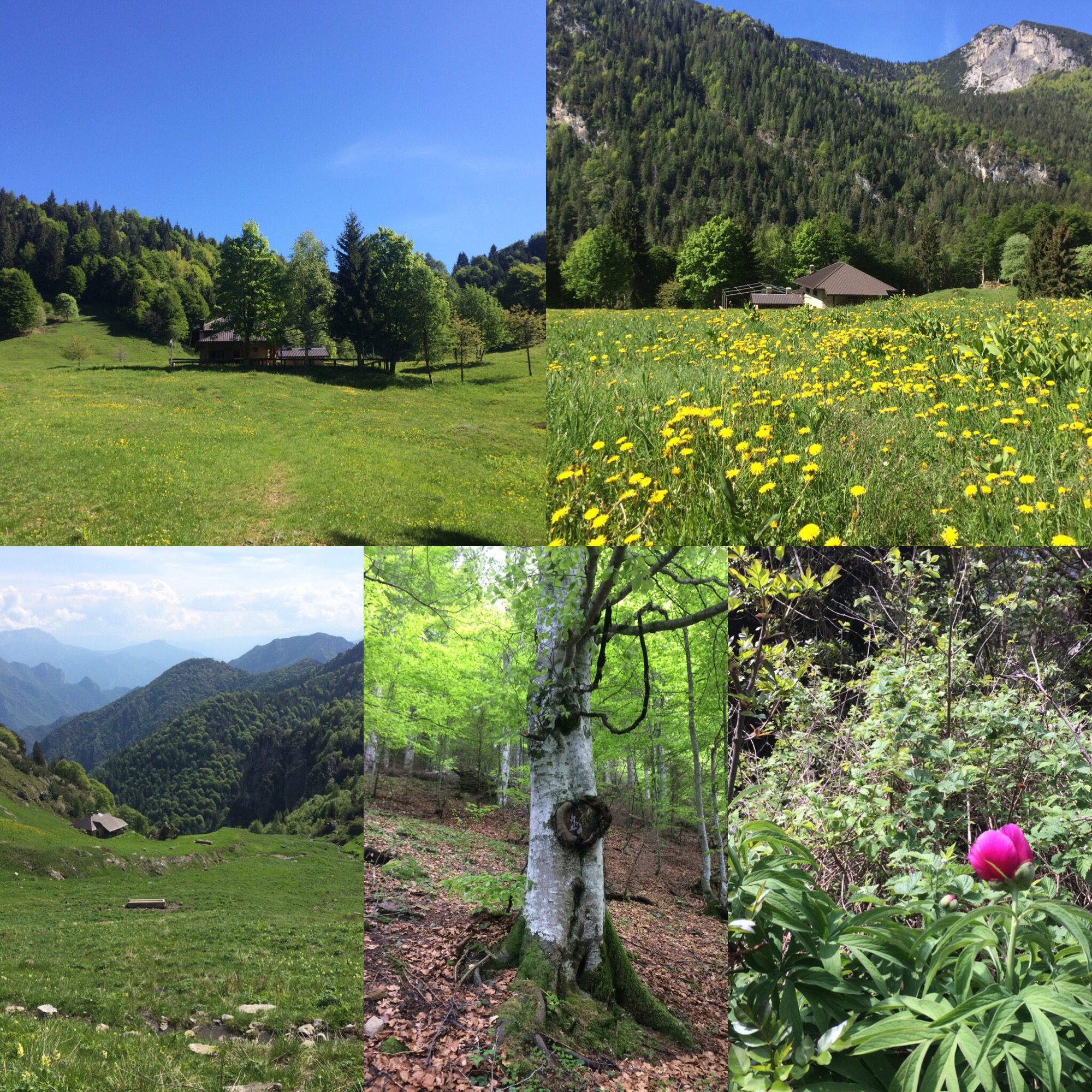 Hotel Mezzolago - Ledro - primavera