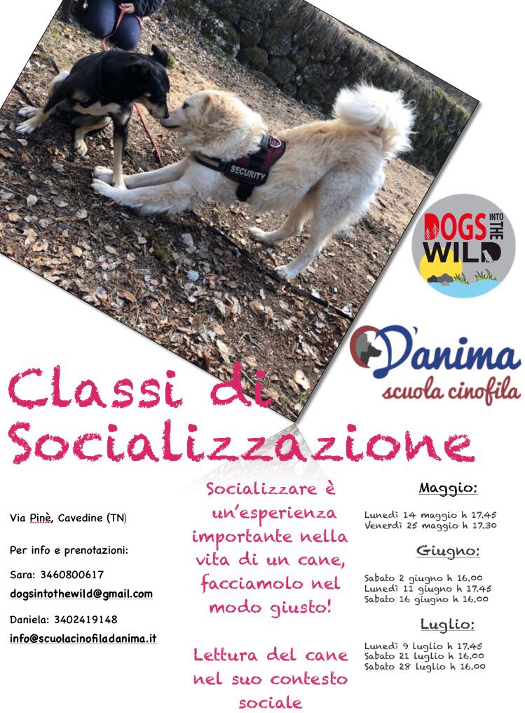 Classi di Socializzazione e Comunicazione