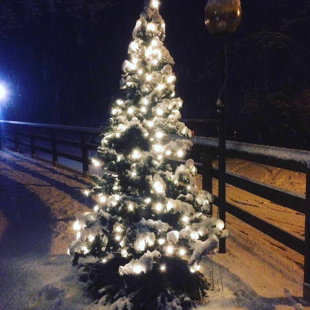 bianco Natale