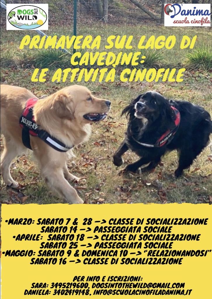 Attività Cinofile di Primavera!