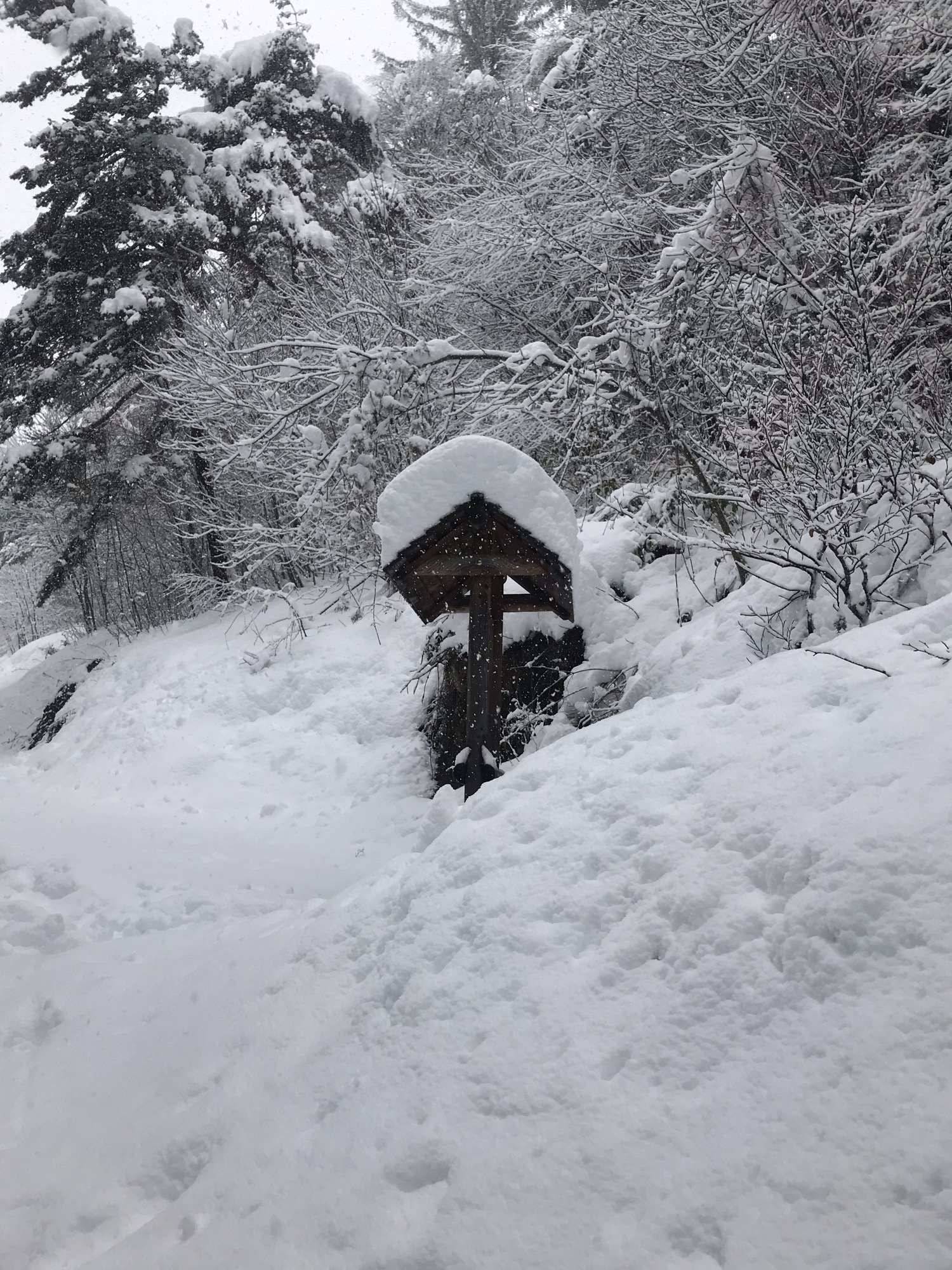 Winter 2020