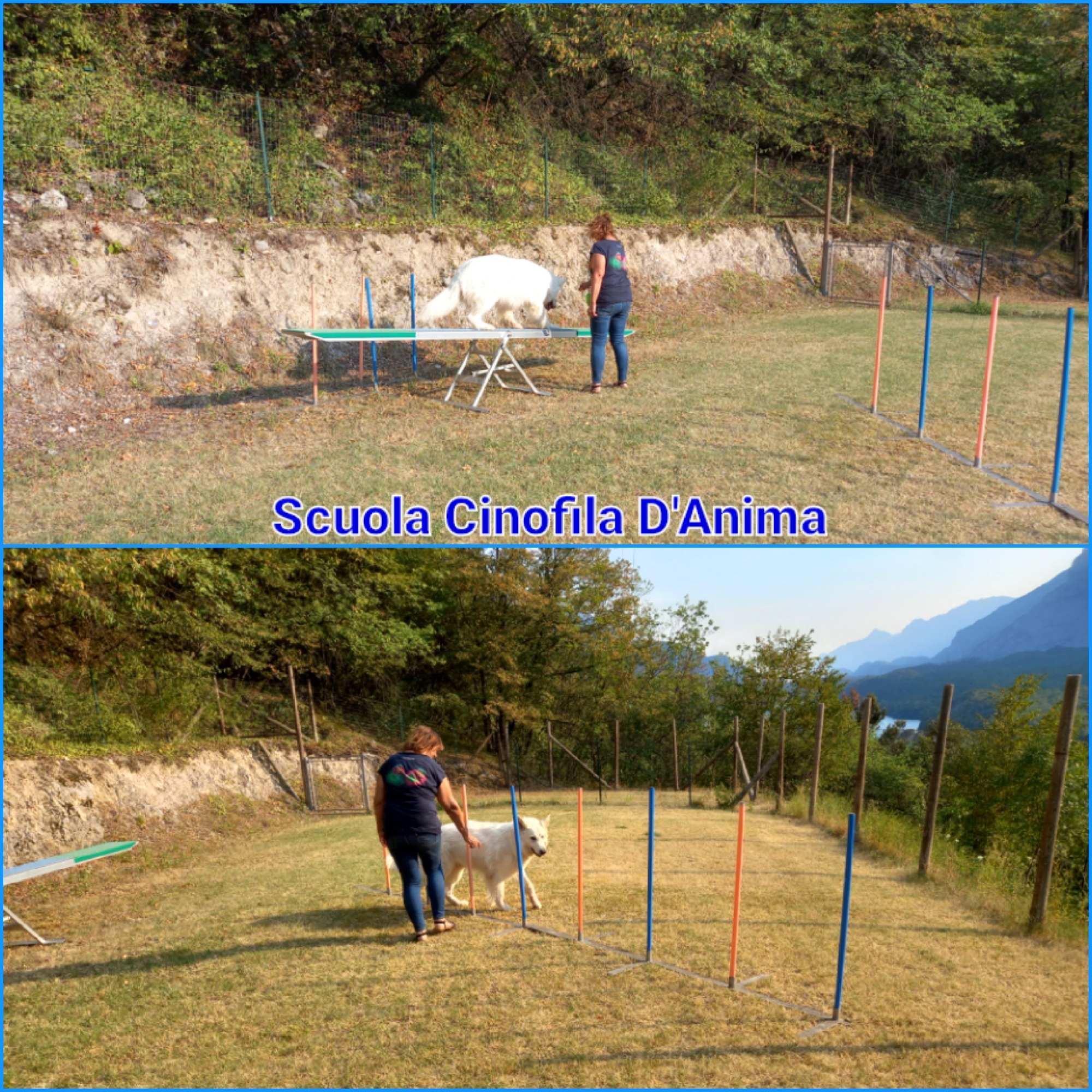 Agility e non solo