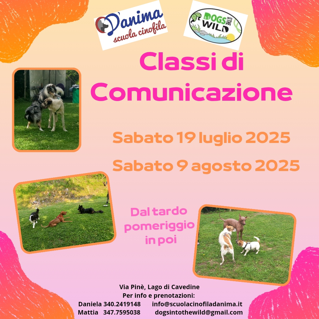 Classi di Comunicazione