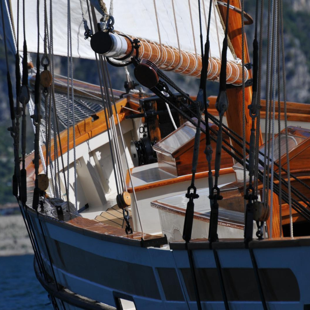 Veliero Circe: regattas