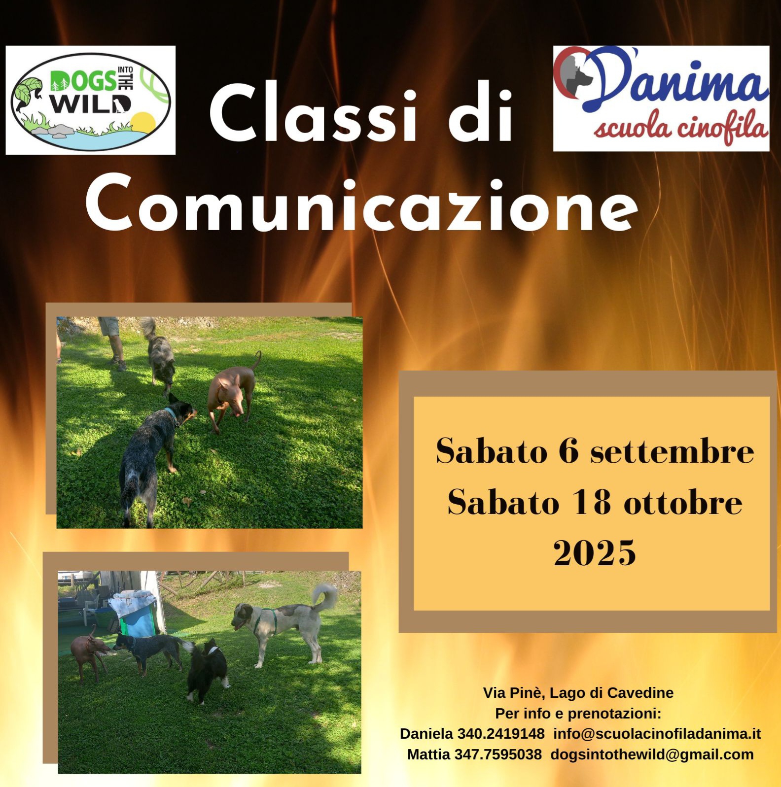 Classi di Comunicazione