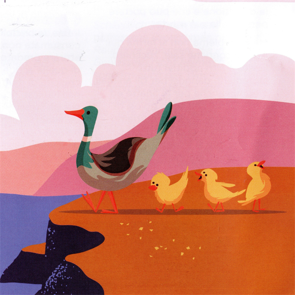Ducks of Lake Garda: Why Not Feed Them