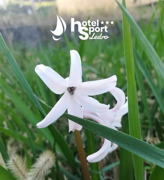 Der Frühling kommt
