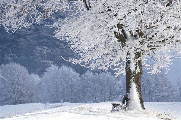 Schnee im Ledrotal!