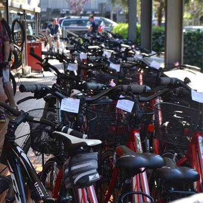 Geführte Touren am Gardasee - Fahrradverleih Gardasee - Bike rent - noleggio biciclette