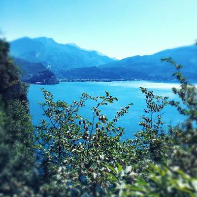 Ponale