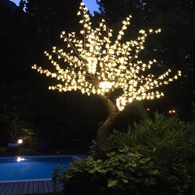 Led Tree at the pool