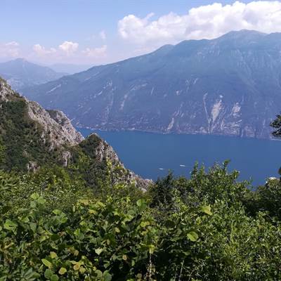 gardasee lake garda noleggio e-bike  rent a bike  centurionbikes