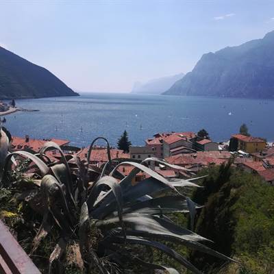 torbole bike shop rent a bike fahrradverleih gardasee  centurion bikes lake garda