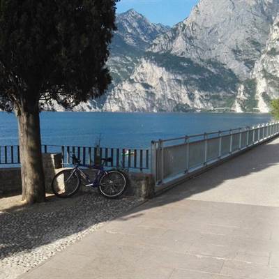 torbole bike shop bike rent fahrradverleih gardasee