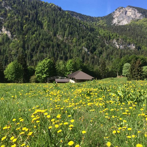 Ledro - Primavera ... spettacolo di colori e profumi