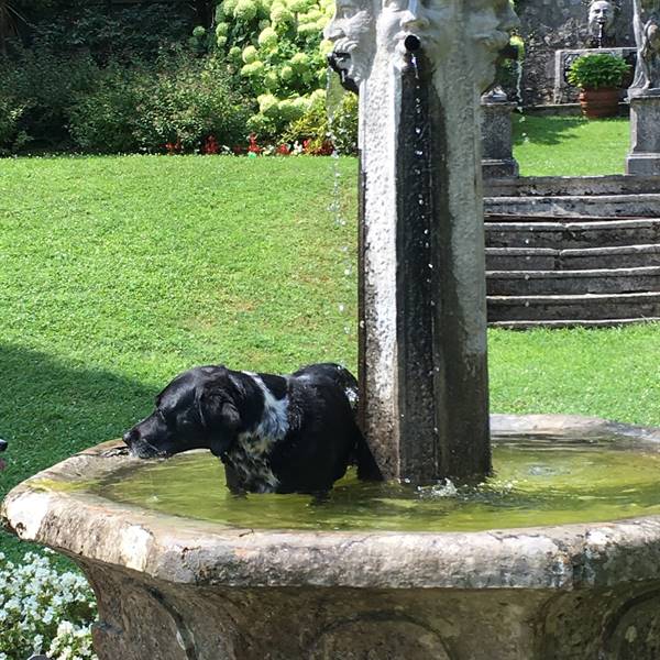 Relax for everyone when it’s hot 😊😊