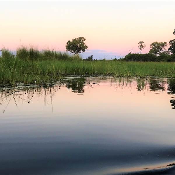 Botswana | Delta dell'Okavango |