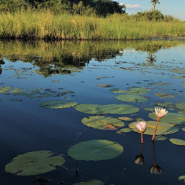 Botswana | Delta dell'Okavango |