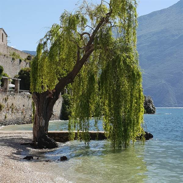 Le acque cristalline del lago a Limone