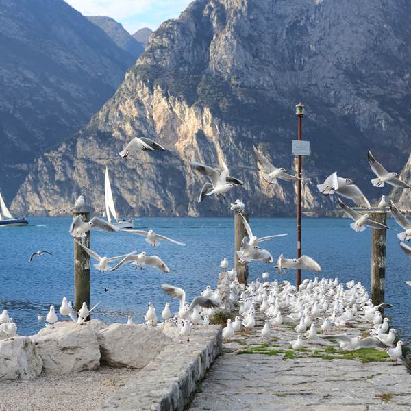 Torbole sul Garda