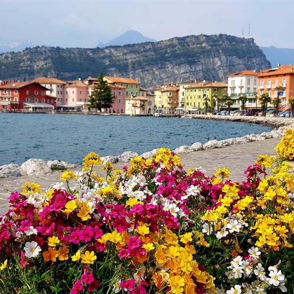 lagobdi garda noleggio biciclette  elettriche  lake garda  velo   garda