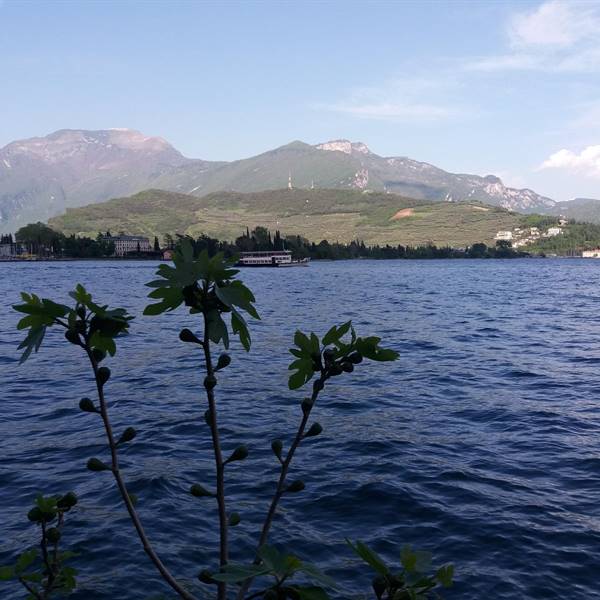 Vista lago dalla strada verso la ponale