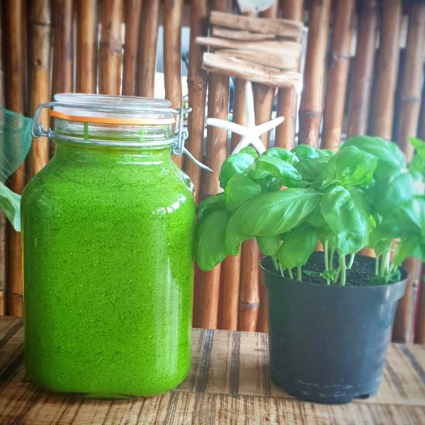 pesto home made