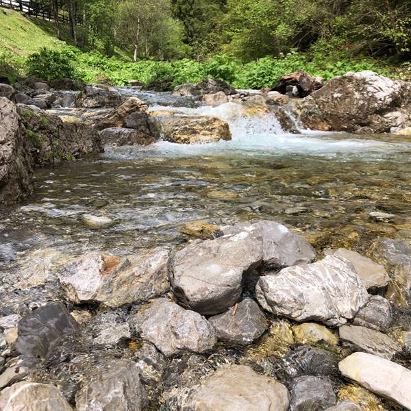 Gallery | Albergo Pieve | senti l’acqua che scorre, gli uccelli che cantano e gli insetti che ronzano