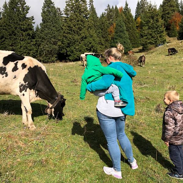 Gallery | Albergo Pieve | “ vogliamo accarezzare le mucche , perché ci danno del buon latte “