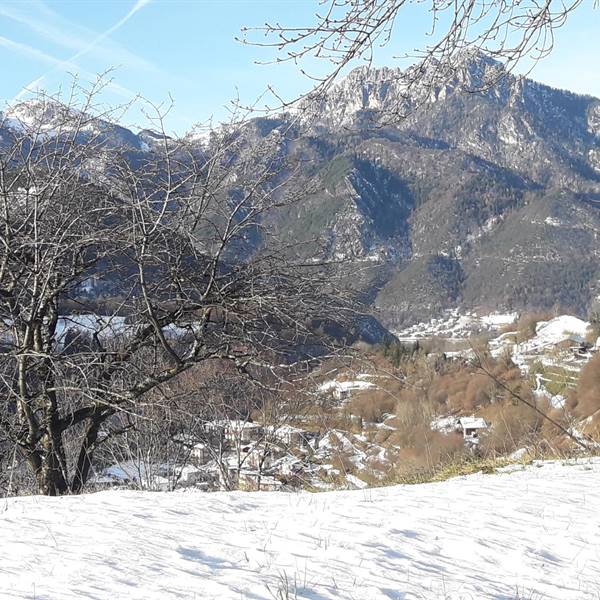 passeggiando questi giorni al Lago di Ledro