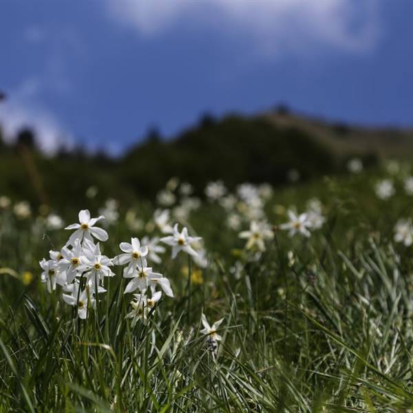 Gallery | Camping Azzurro Ledro | Valle di Ledro