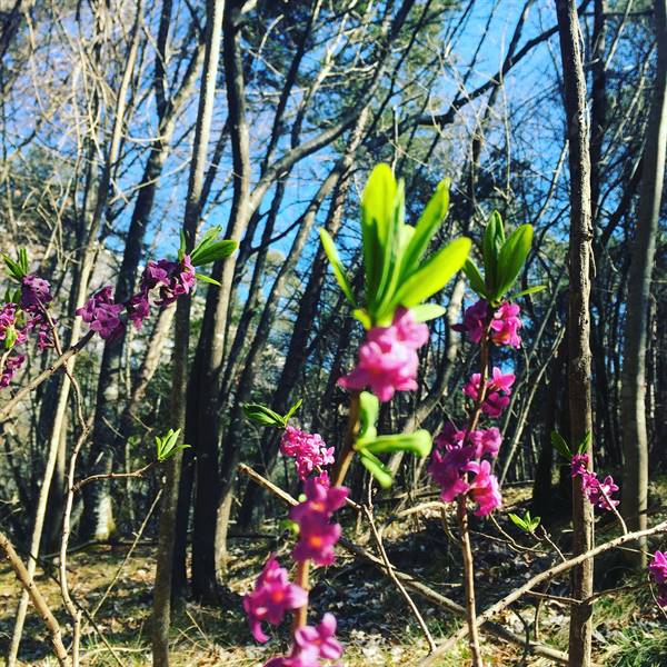 .... la natura non si ferma mai