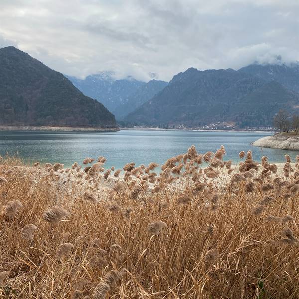 Gallery | Ledro Service Tour | lago