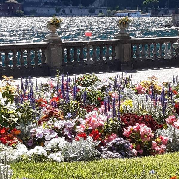 riva - splendore di colori