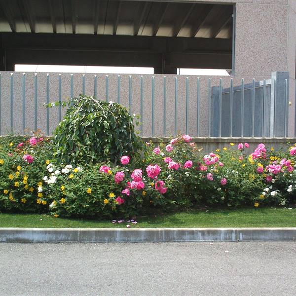 Bios - Le nostre realizzazioni | OMZ Storo