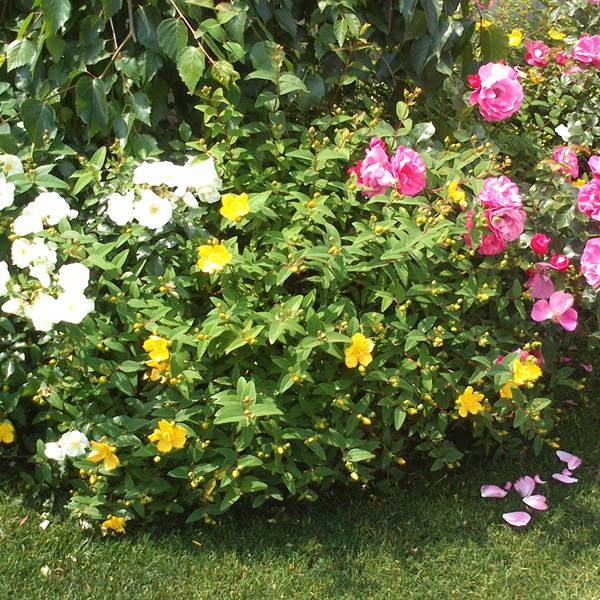 Bios - Le nostre realizzazioni | OMZ Storo