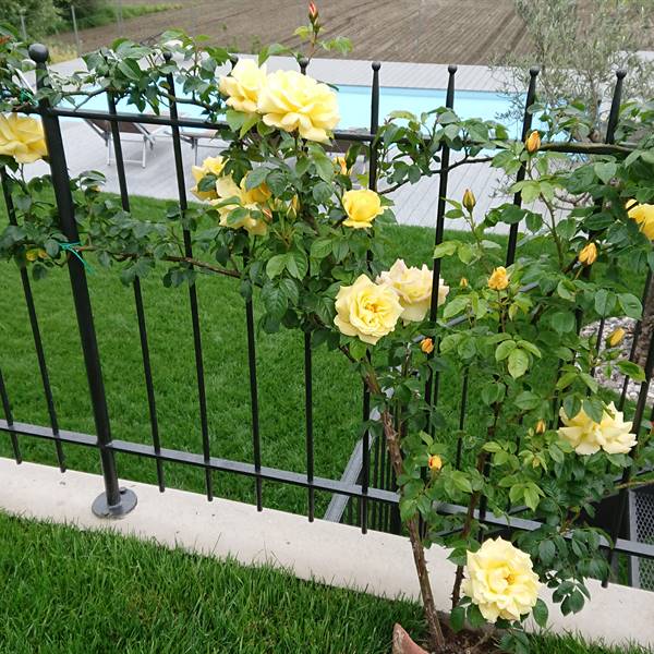 Bios - Le nostre realizzazioni | Villa privata - Darzo