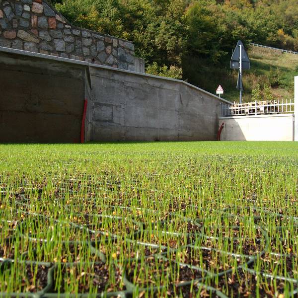 Bios - Le nostre realizzazioni | Prato armato - Cimego