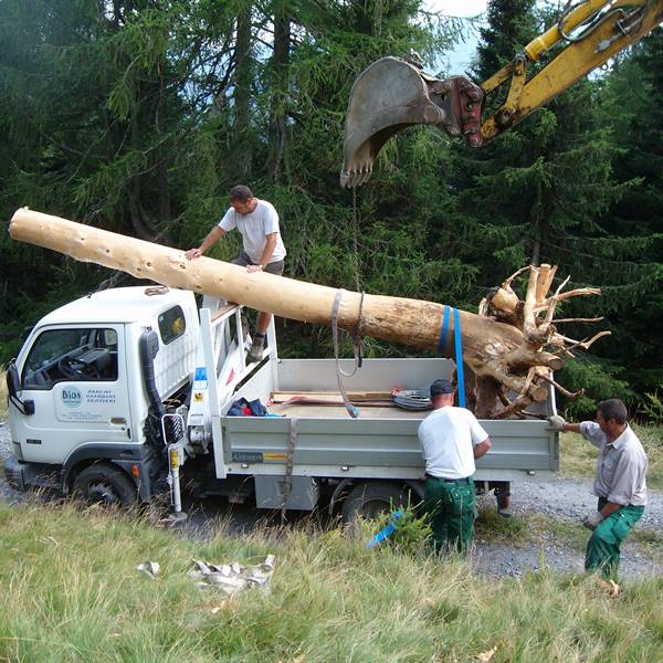 Bios - Le nostre realizzazioni | Istituto scolastico Pieve di Bono