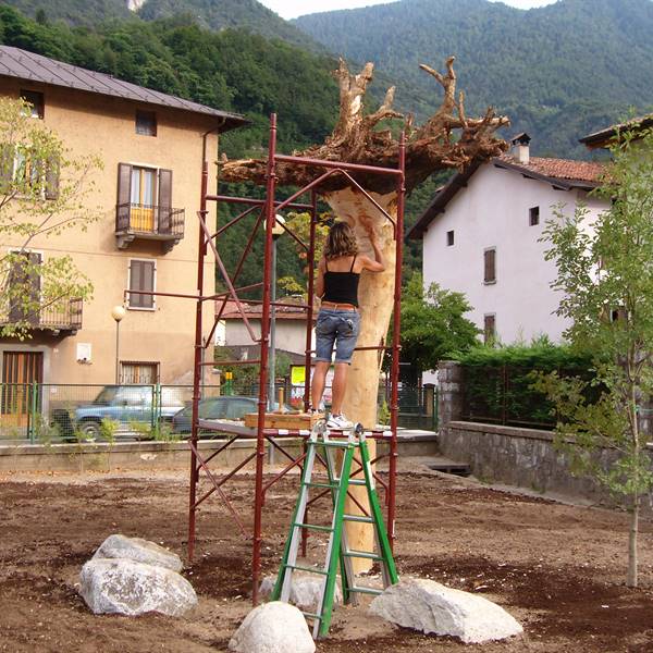 Bios - Le nostre realizzazioni | Istituto scolastico Pieve di Bono