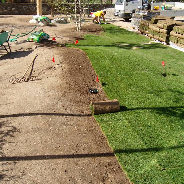 Bios - Le nostre realizzazioni | Istituto scolastico Pieve di Bono