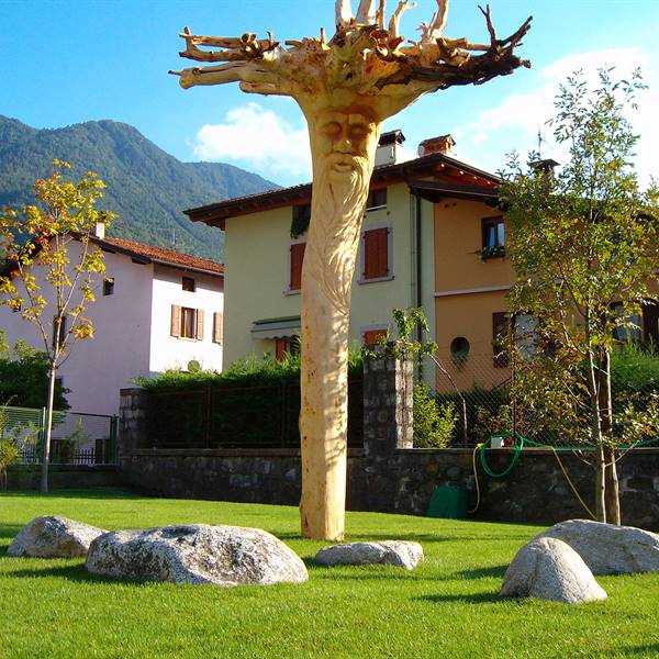 Bios - Le nostre realizzazioni | Istituto scolastico Pieve di Bono