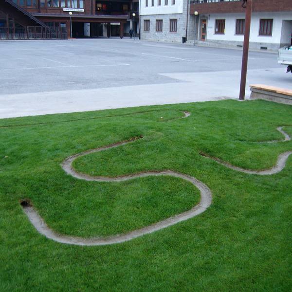 Bios - Le nostre realizzazioni | Istituto scolastico Pieve di Bono