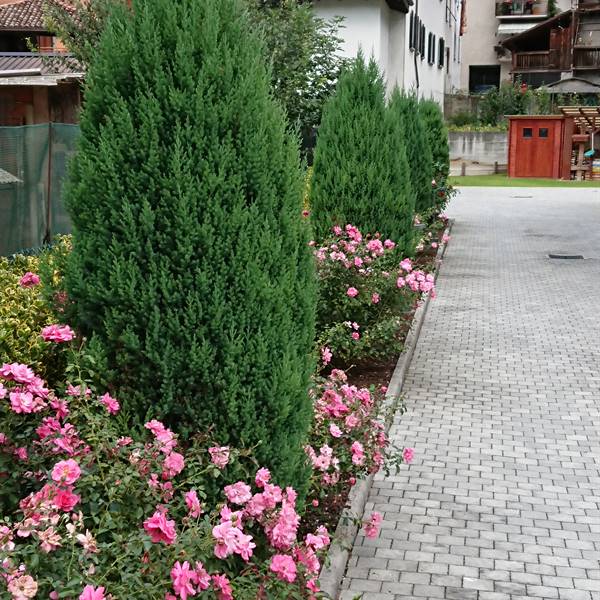 Bios - Le nostre realizzazioni | Giardino privato 2 - Storo