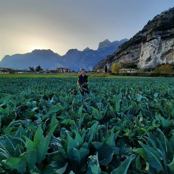 Gallery - Il Figlio Del Vento🥦🥦