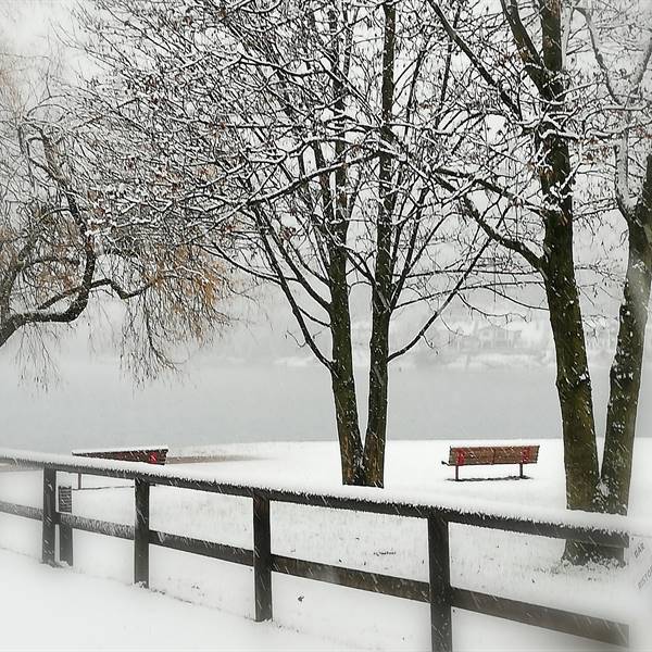 Gallery - Varie | Hotel Lido Ledro | Primi fiocchi di neve sul Lago di Ledro - 2 dicembre 2020