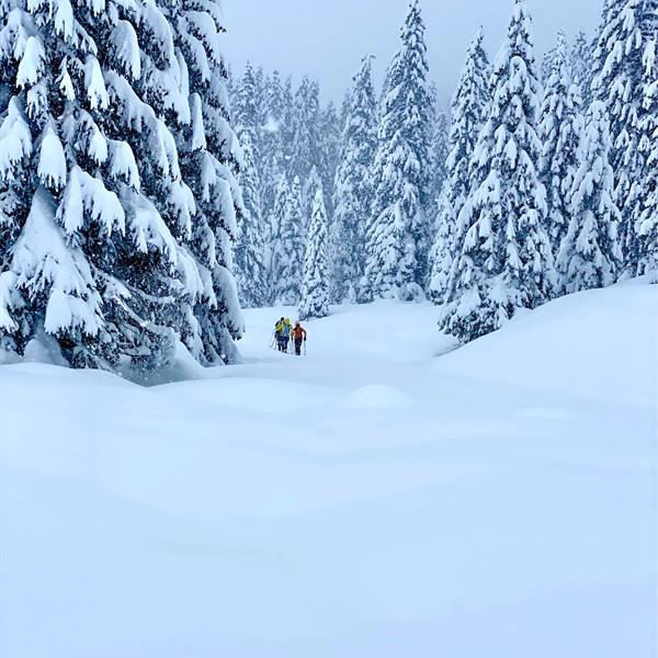 Winter in Trentino ❄️ Madonna di Campiglio