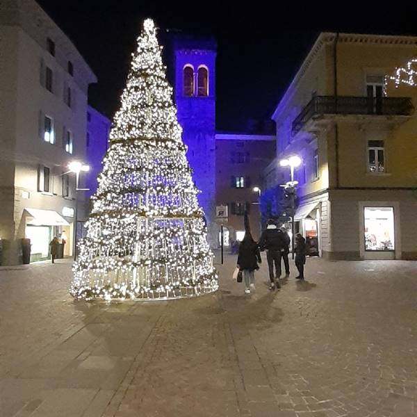 Albero Riva del Garda