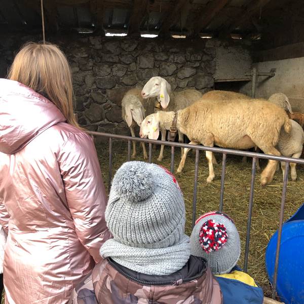 Gallery | Albergo Pieve | in visita dai nostri amici animali